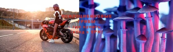 PSILOCYBIN Богородицк
