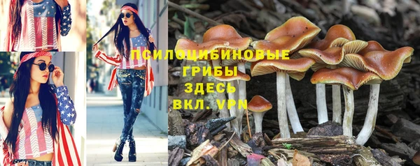крисы Богданович