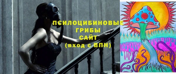крисы Богданович