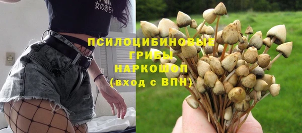 PSILOCYBIN Богородицк