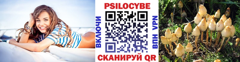 Галлюциногенные грибы Psilocybe  Купить где  Горячий Ключ 
